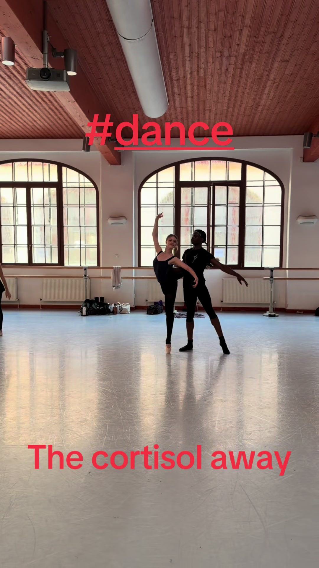 @The_ballet_Phoenix
