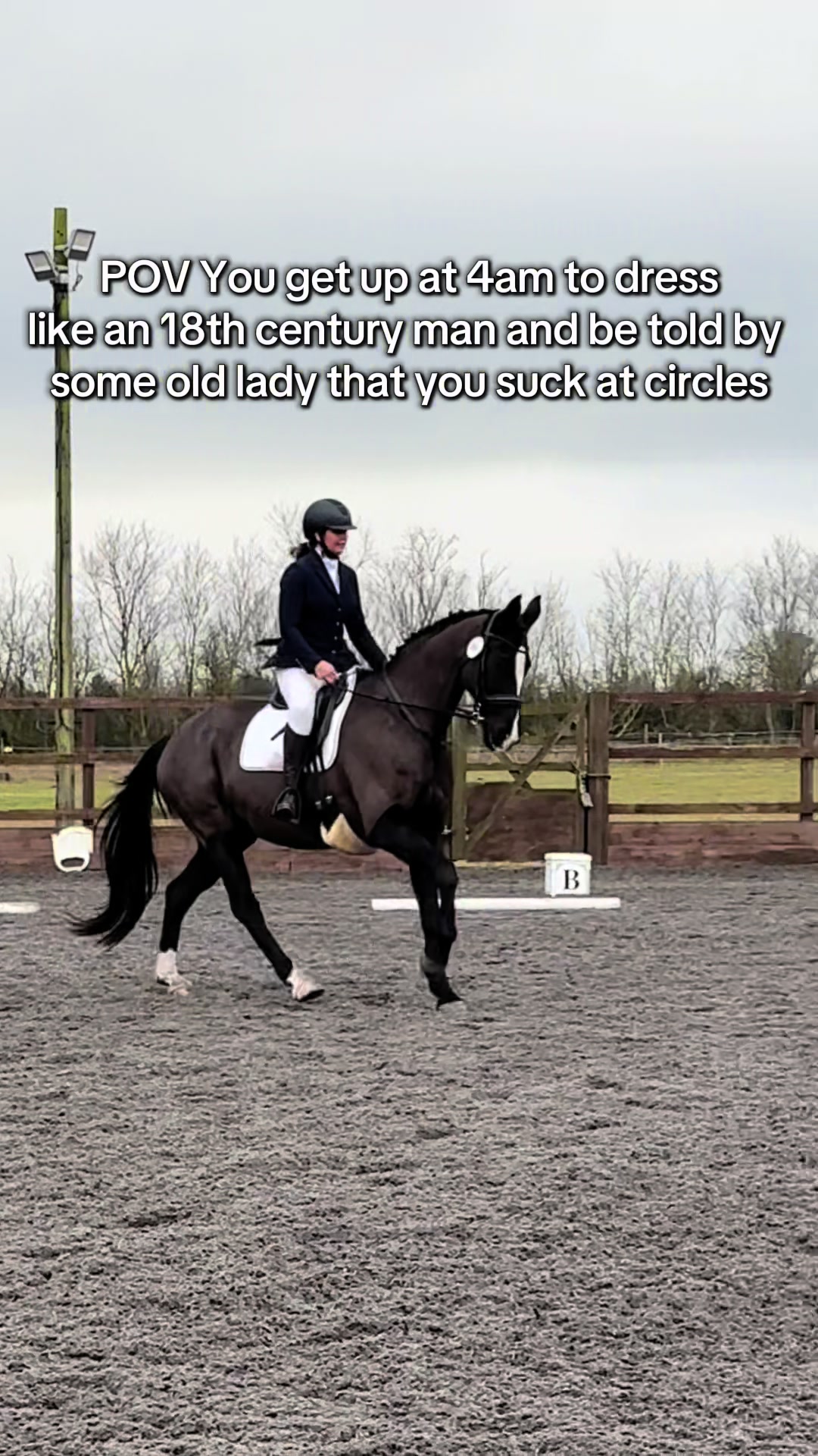@Horses_with_Narni