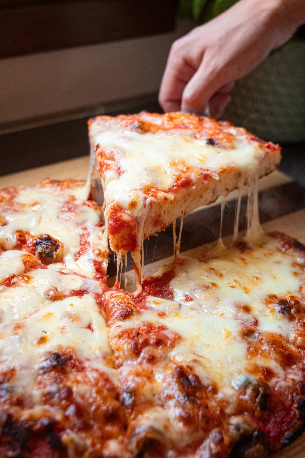 @Alex | Pizza e lievitati