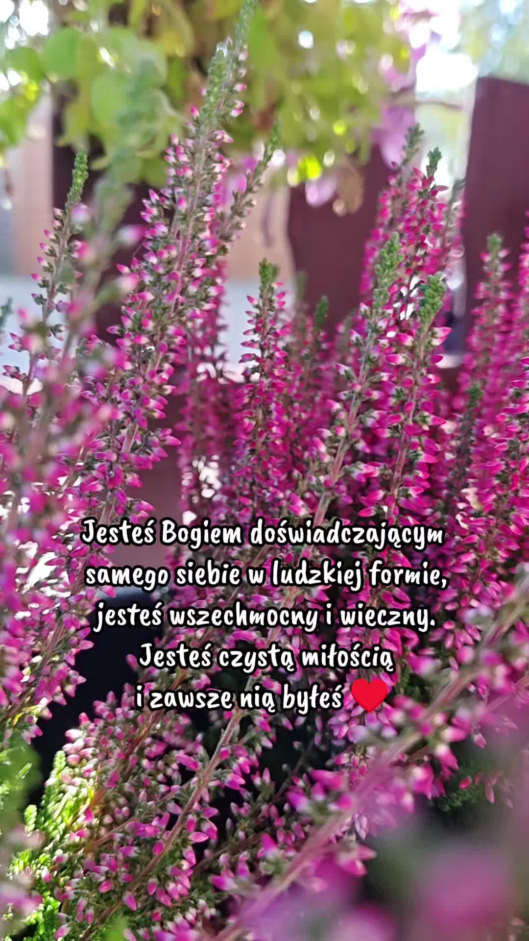 @MAYA-Holistyczna Praktyka