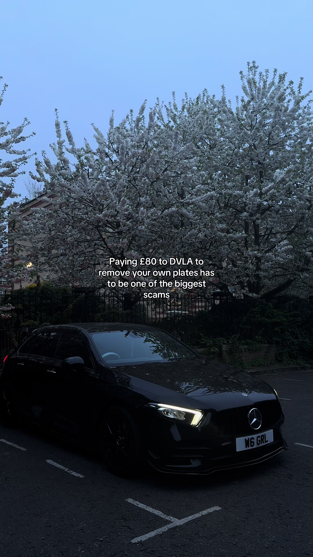 @imaan ليلى