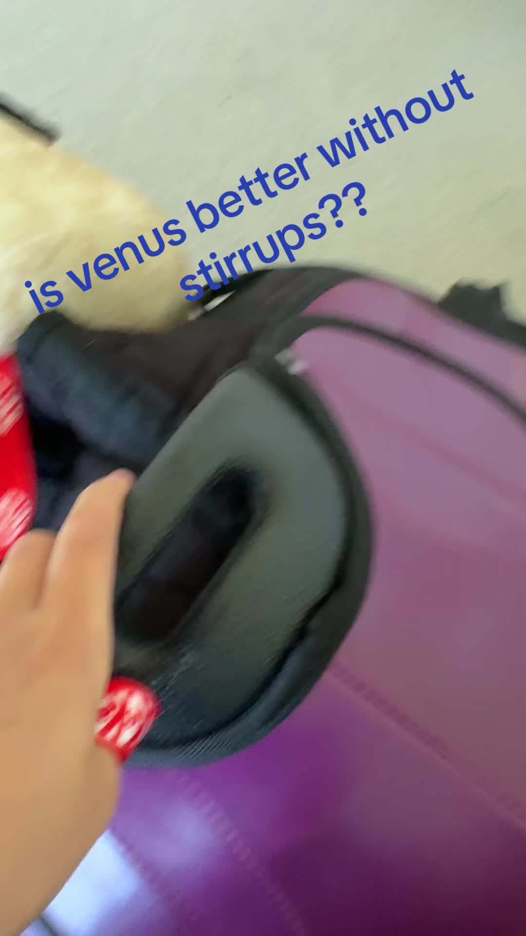 @that horse