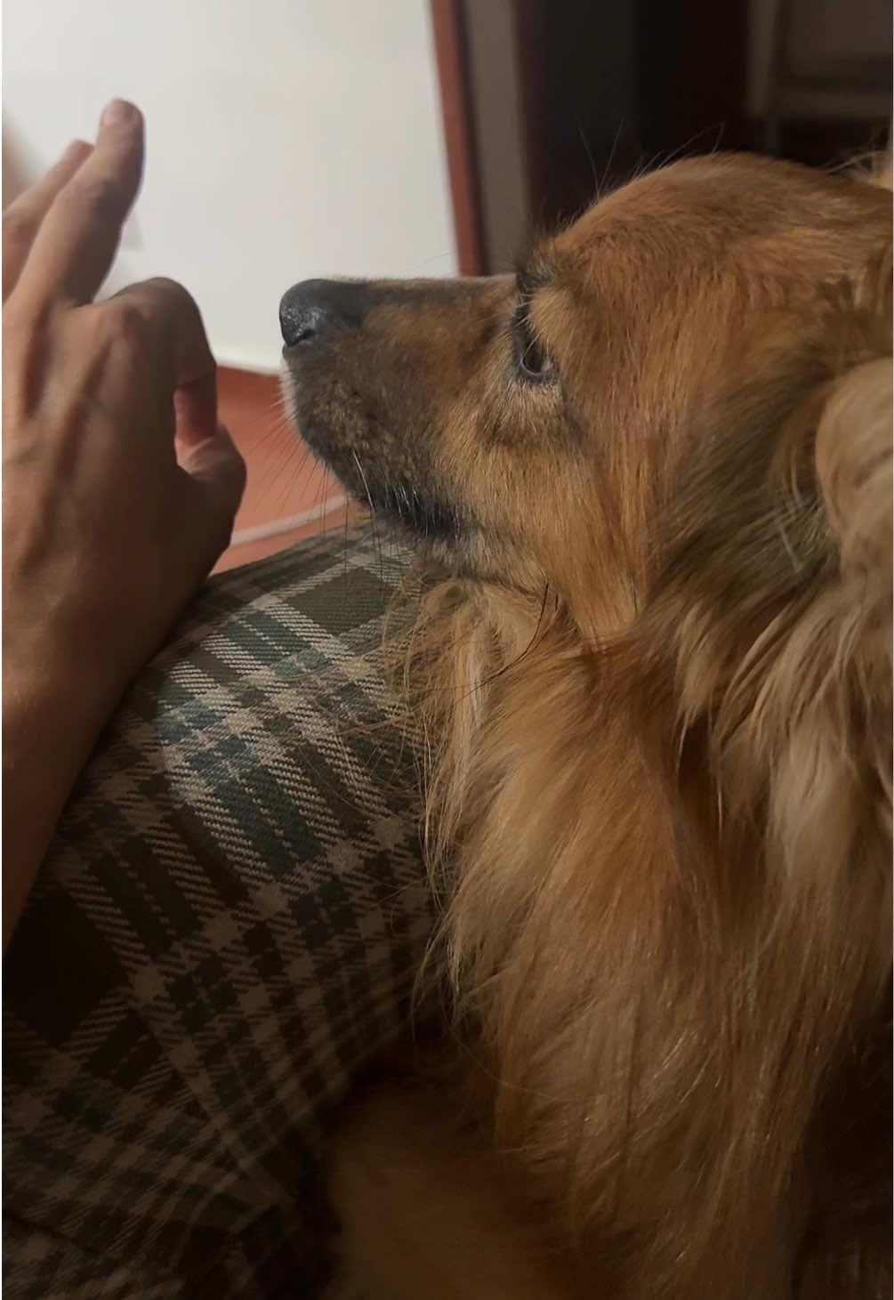 @Anubi