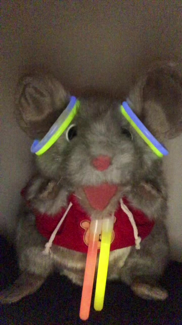 @mozzythemouse