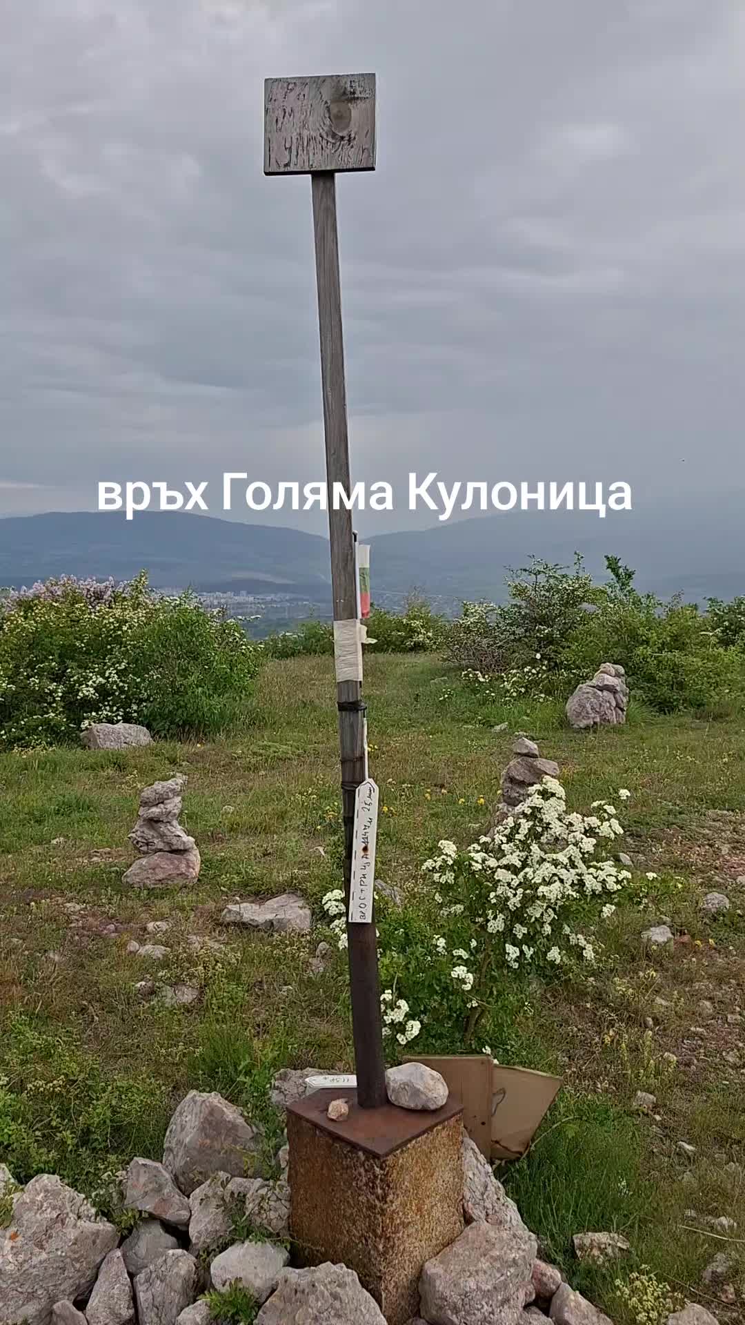 @Nedelin Bozhinov
