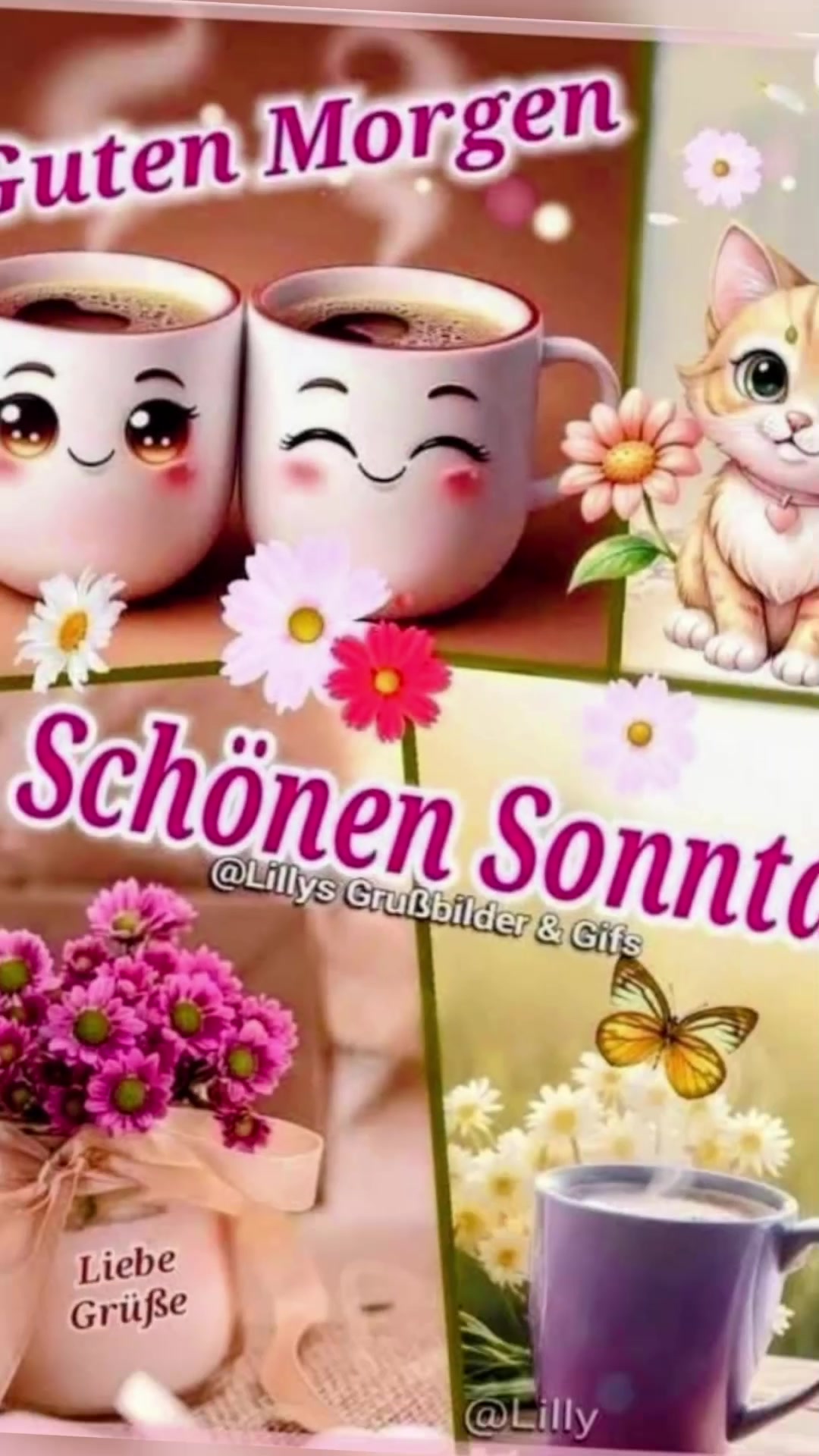 @sibylle krauter