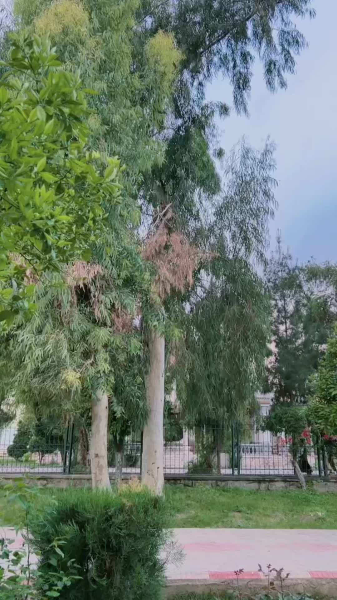 @𝙄 𝙏 𝙎