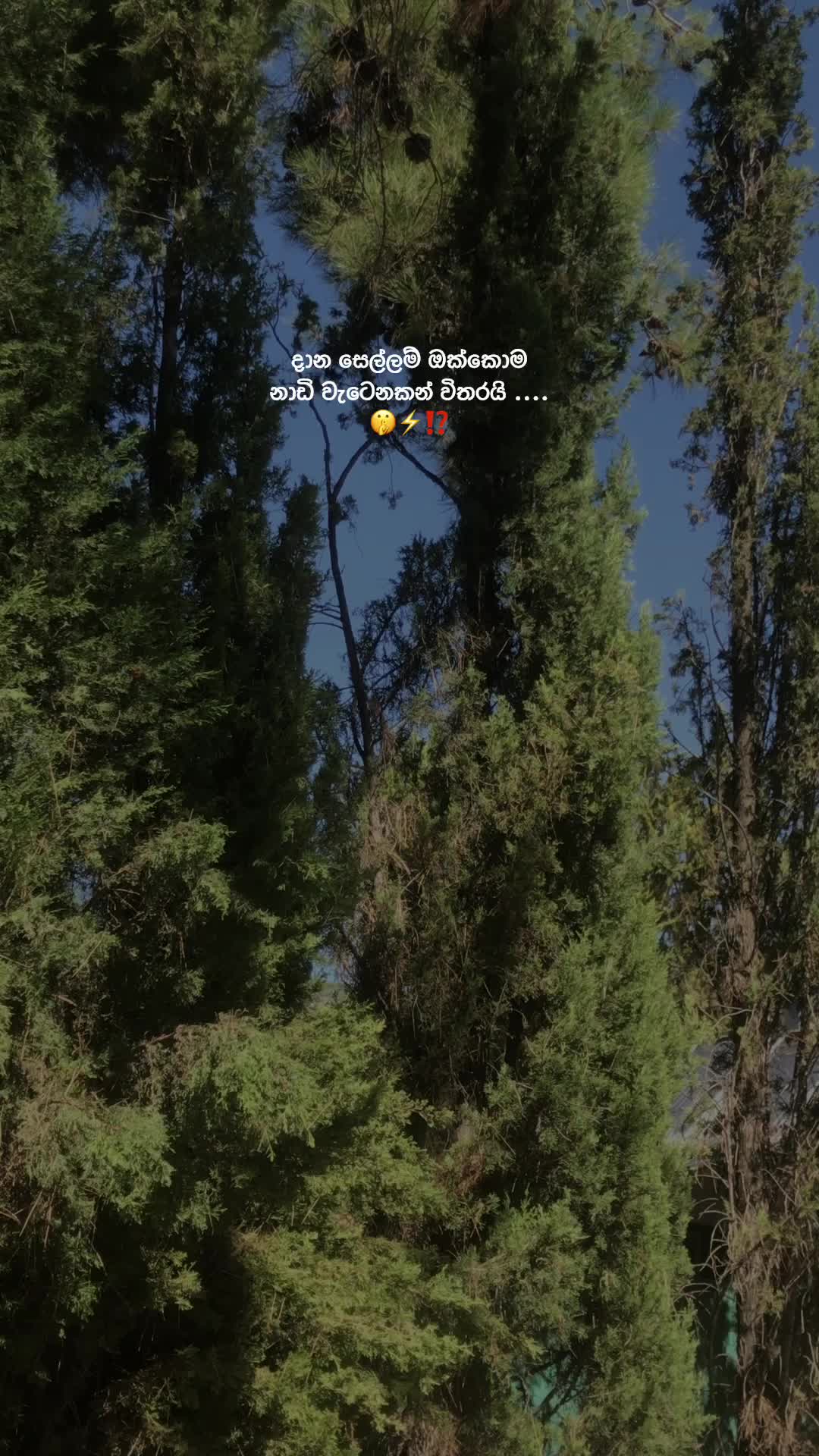 @𝙎𝙝𝙚𝙣 ❕