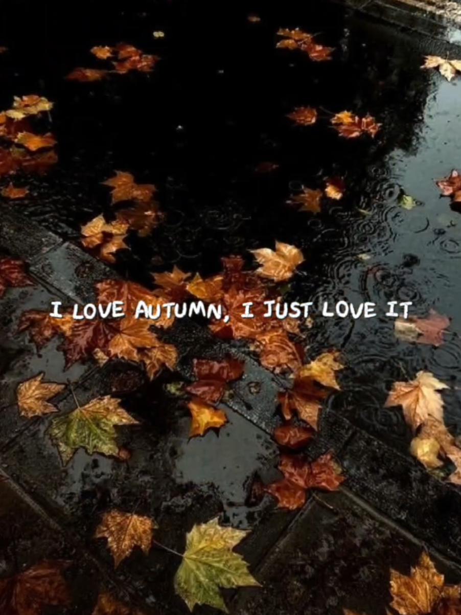 @🍂 seasons time 🍂