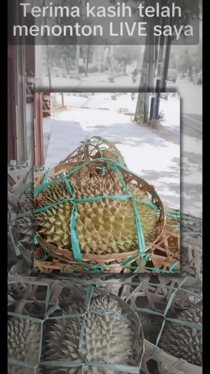 @Kenzhi Durian Tuban