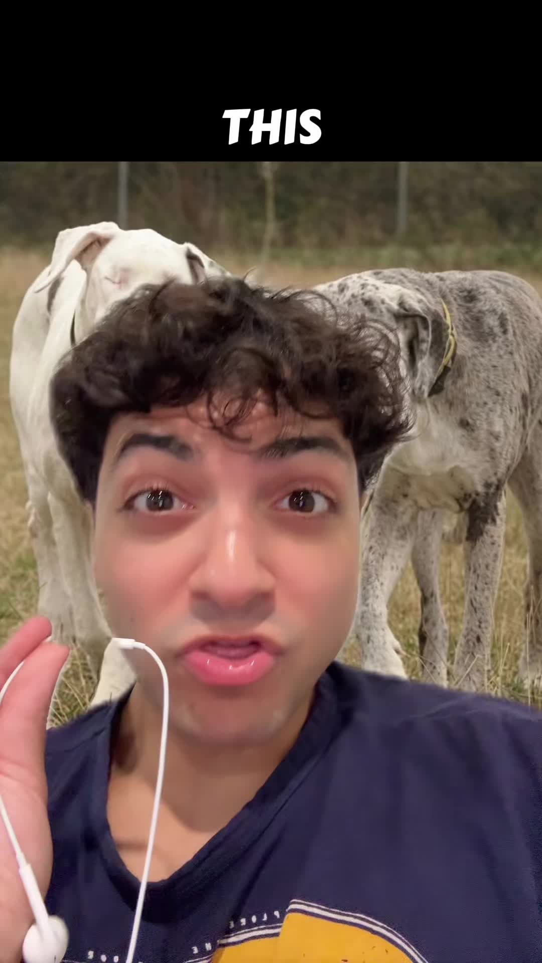 @Sbladn