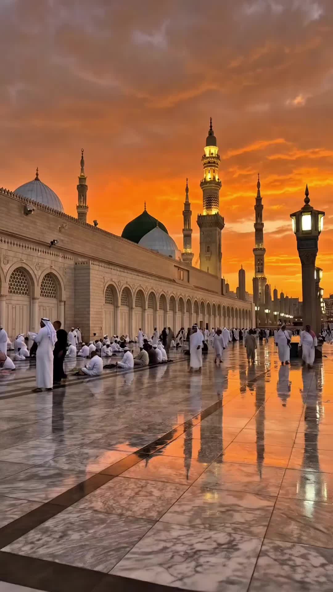 @حفصہ 🫀🇸🇦🦋