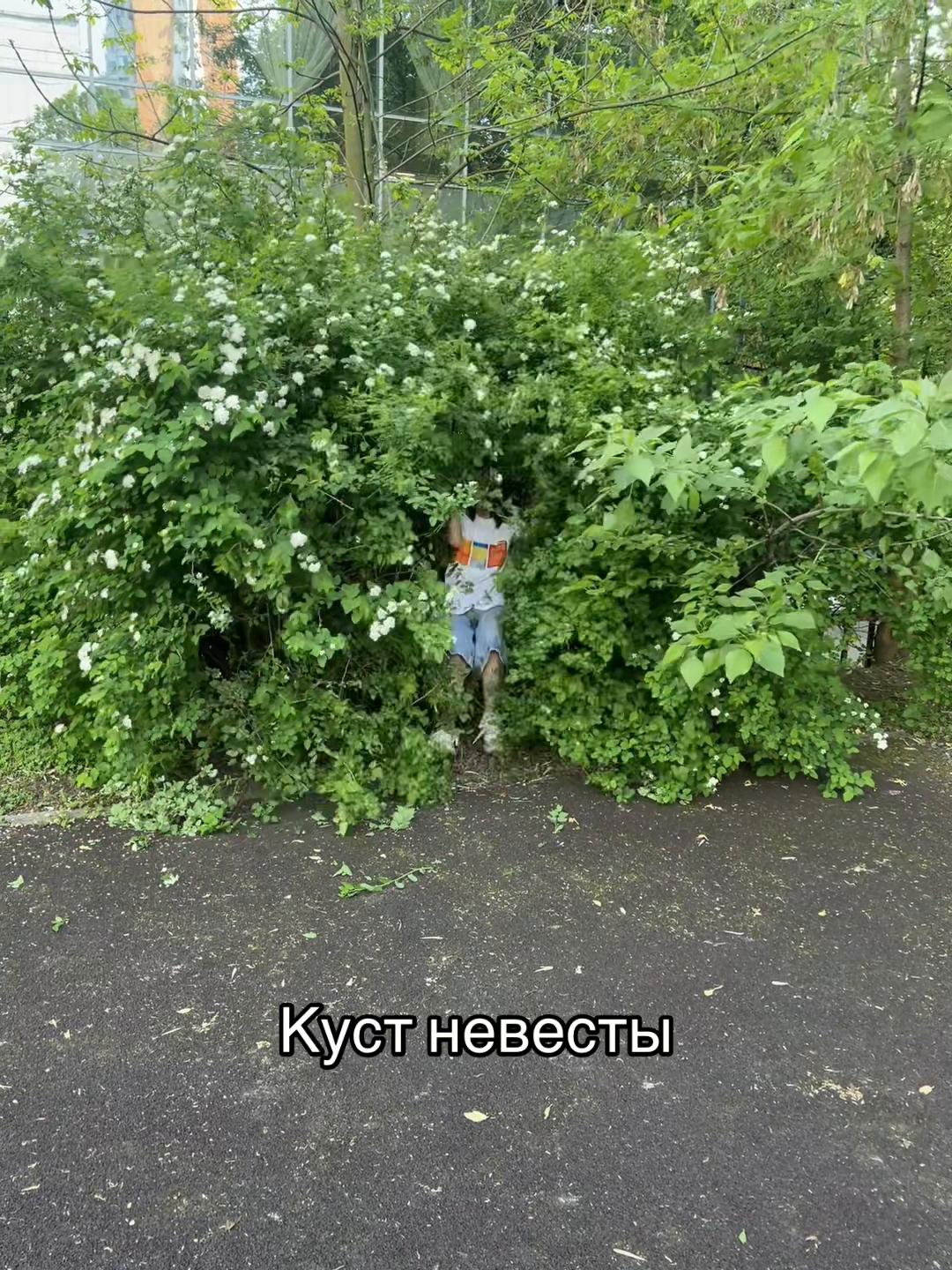 @А.