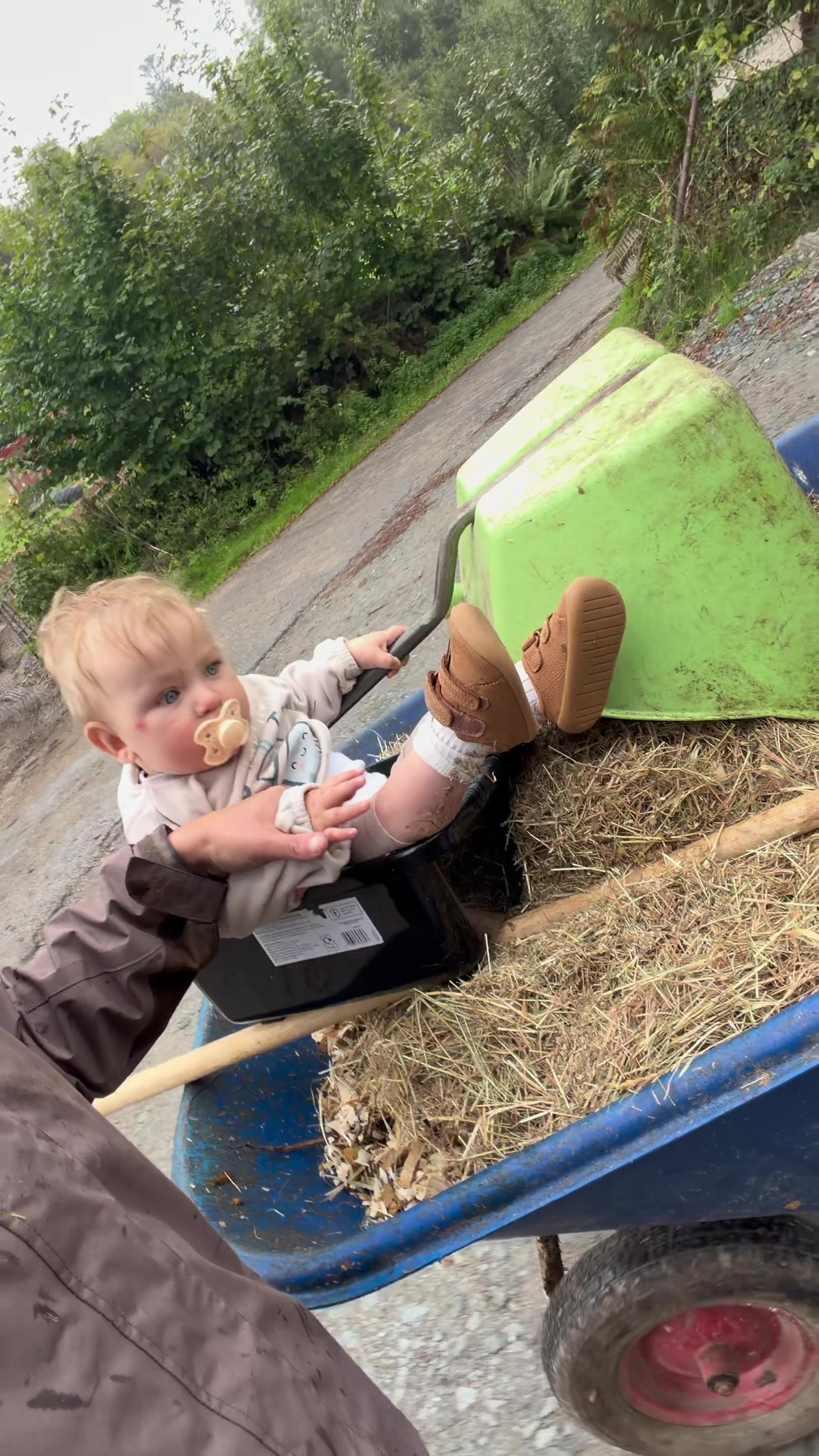 @Dartmoor Carriages