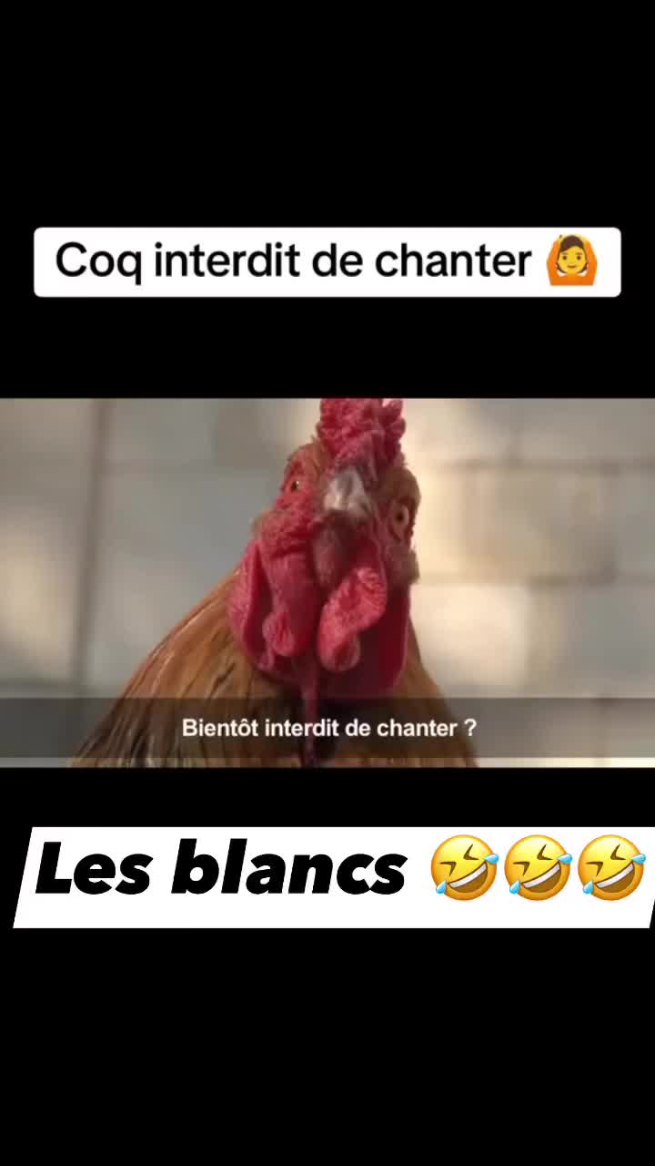 @Salut, Aime 🔞🔞