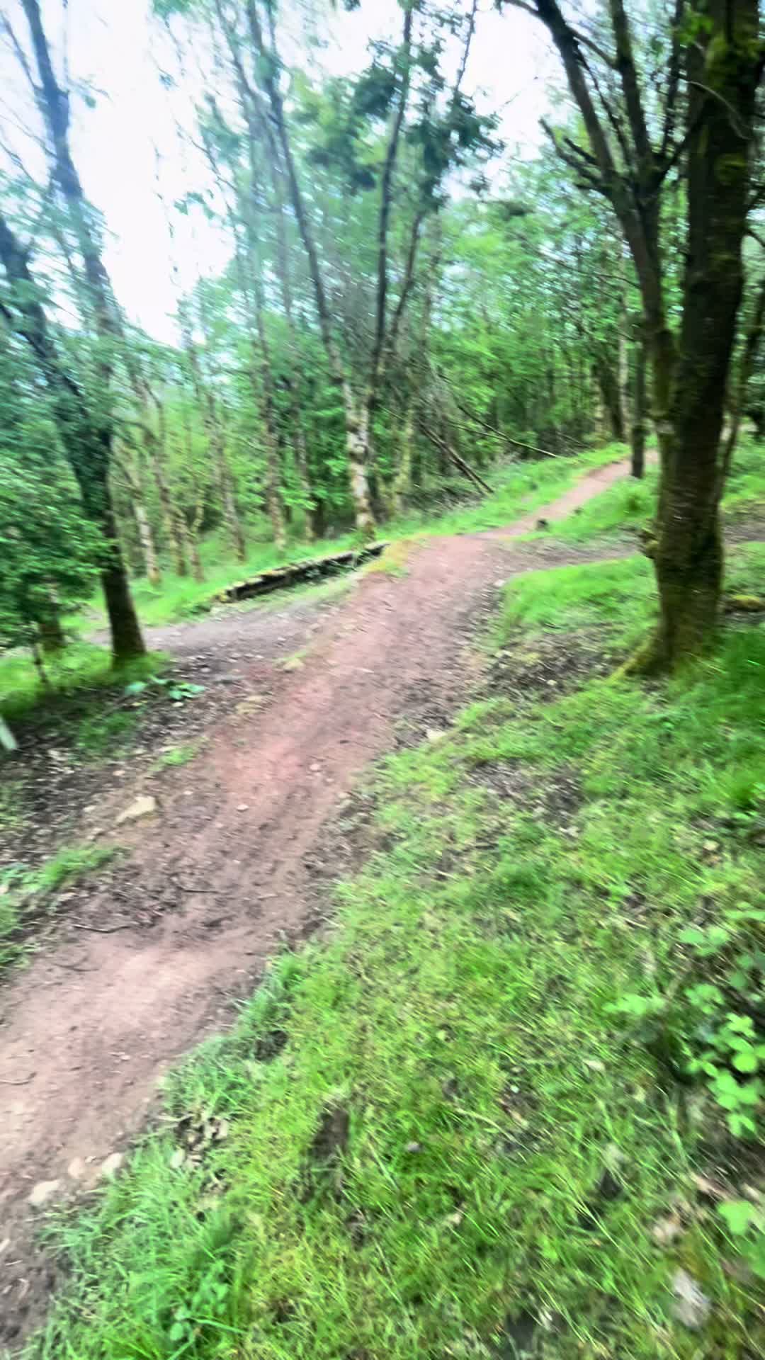 @SL🇬🇧