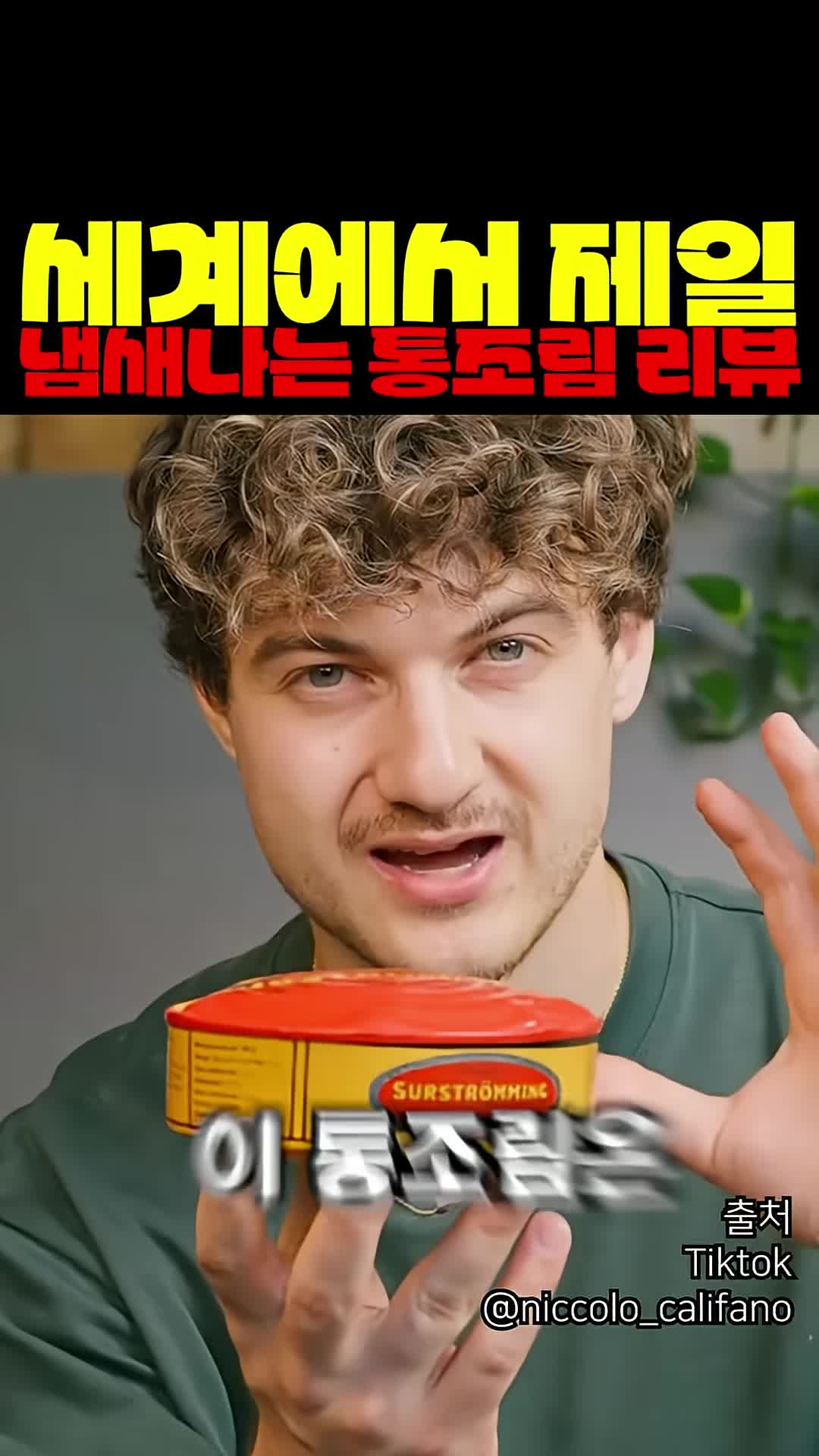 @짱아까미