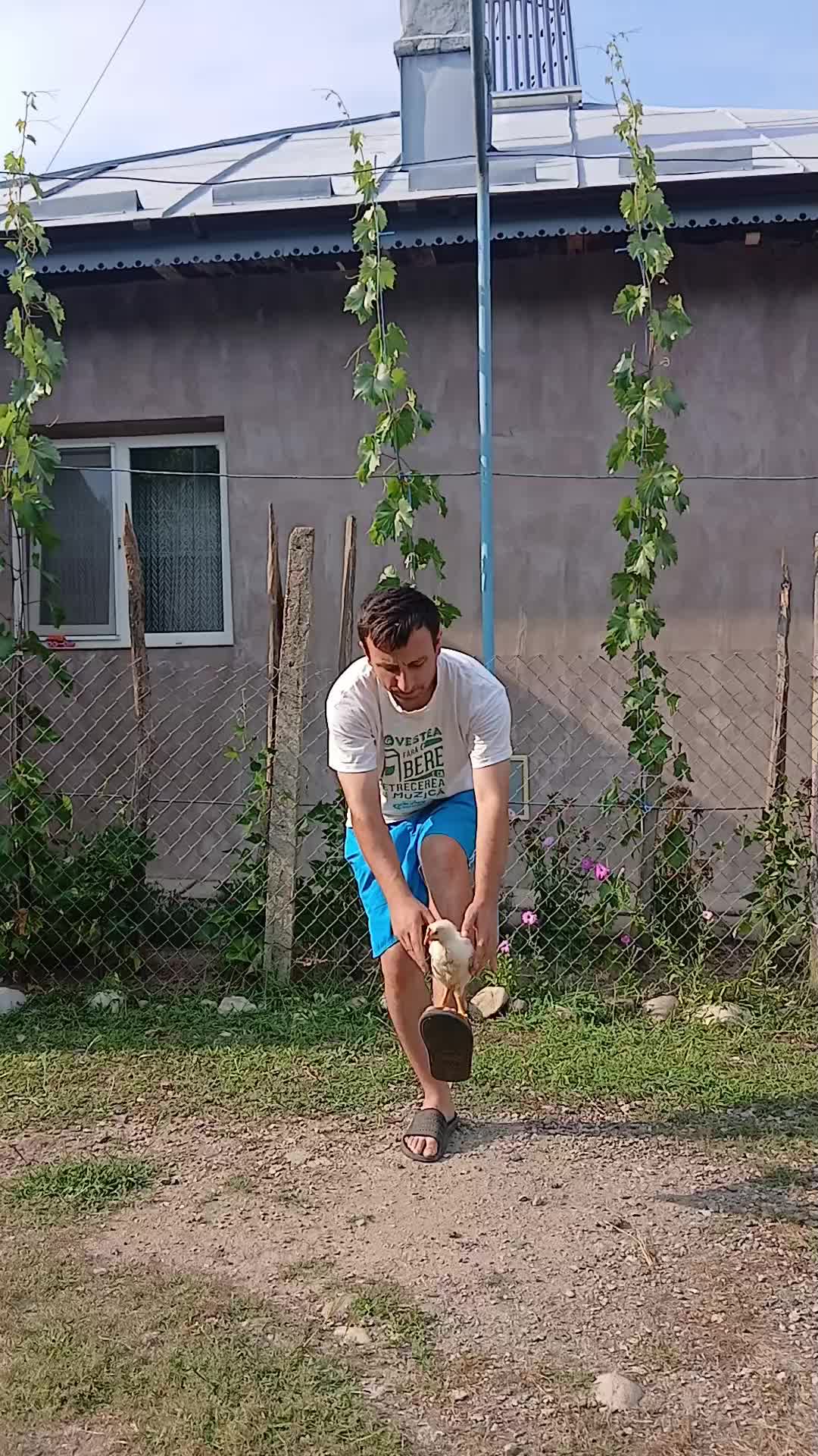 @MariusMDC