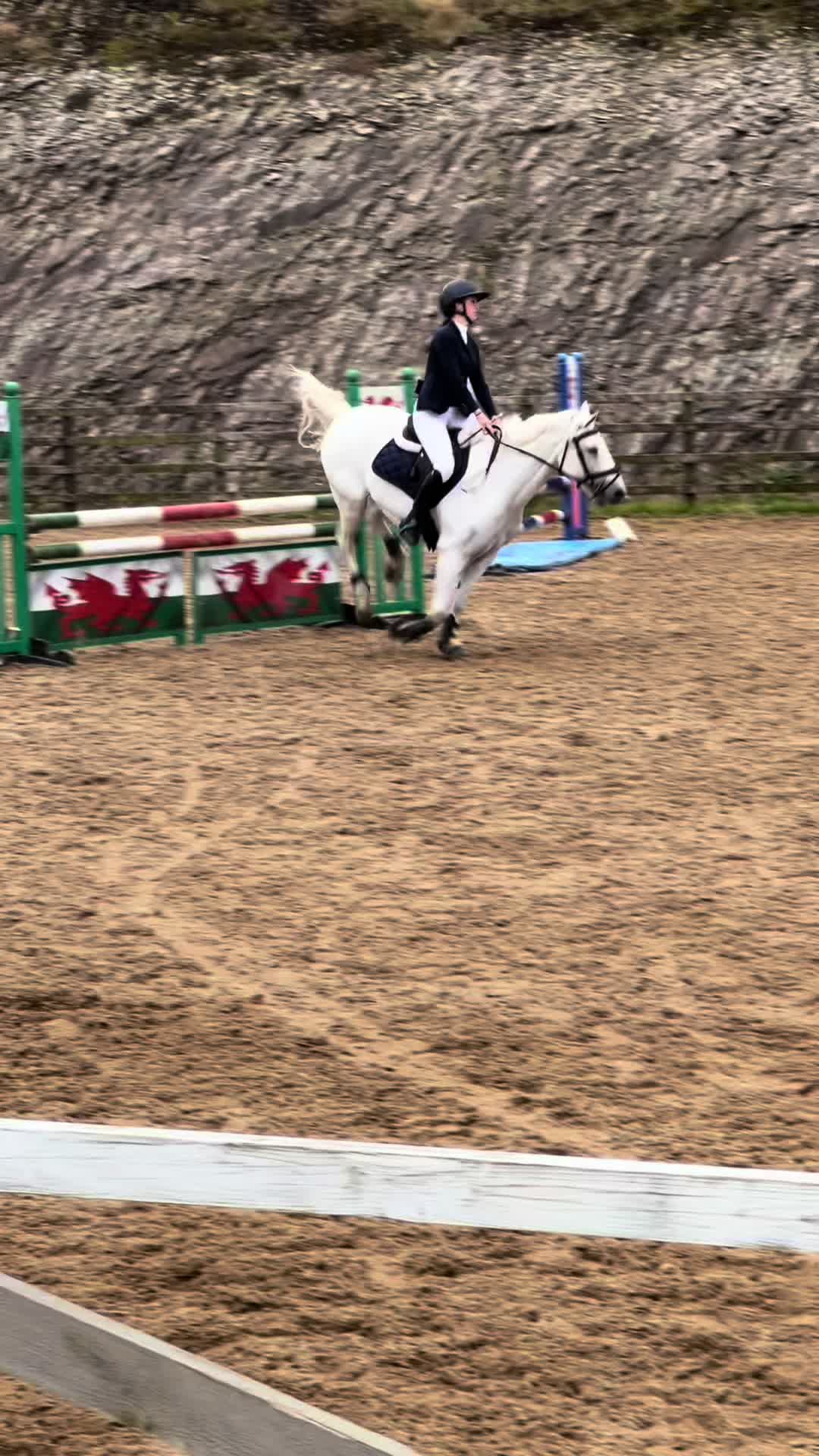 @amelia_showjumping2
