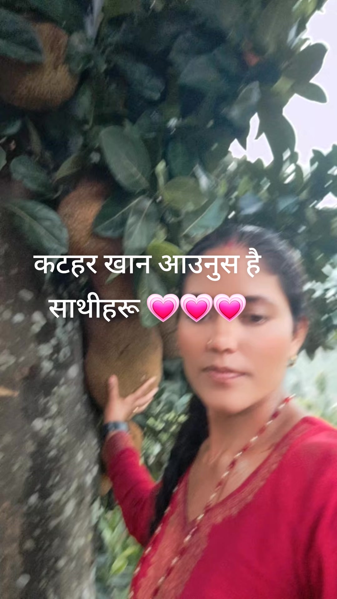 @krishna Bista oli❤️