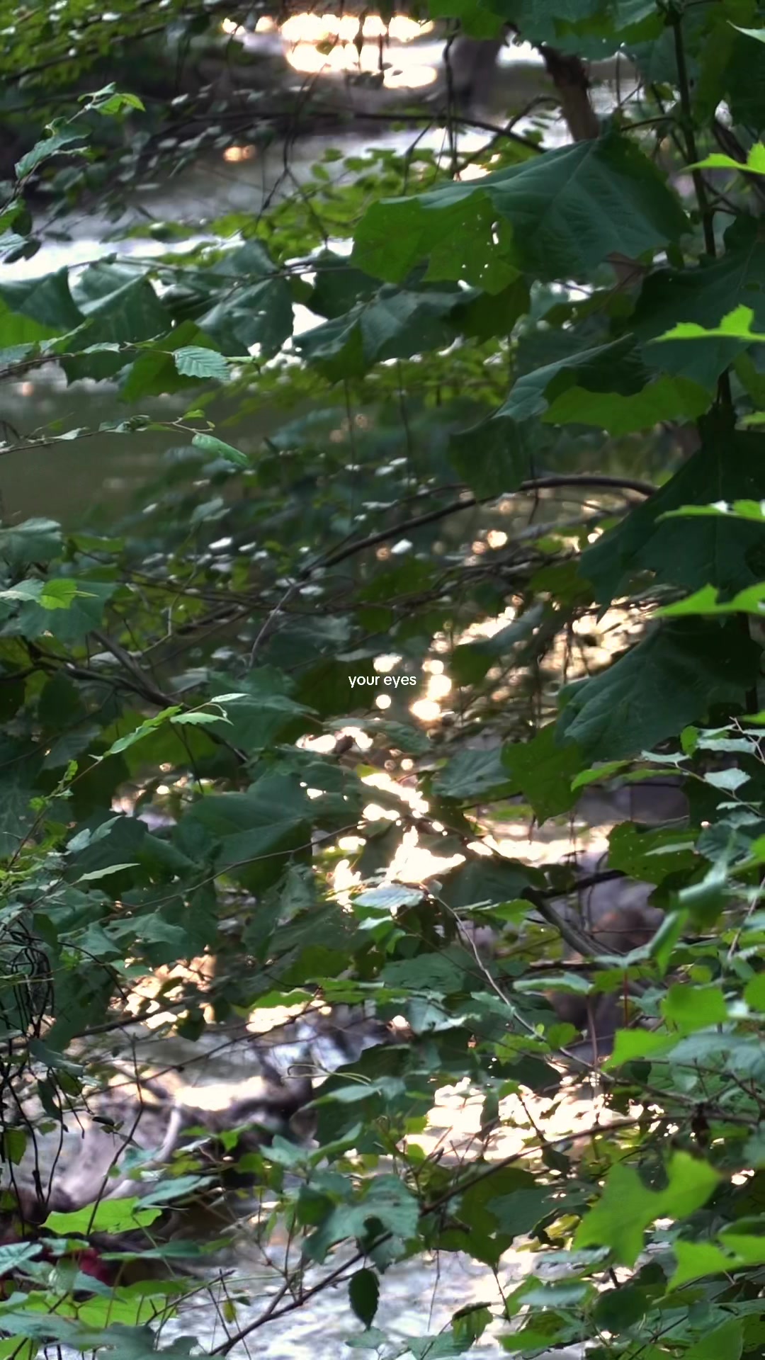 @𓆝 𓆟 𓆞