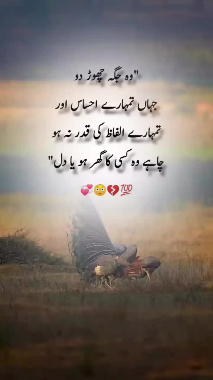 @💔 Bilal writes 💔