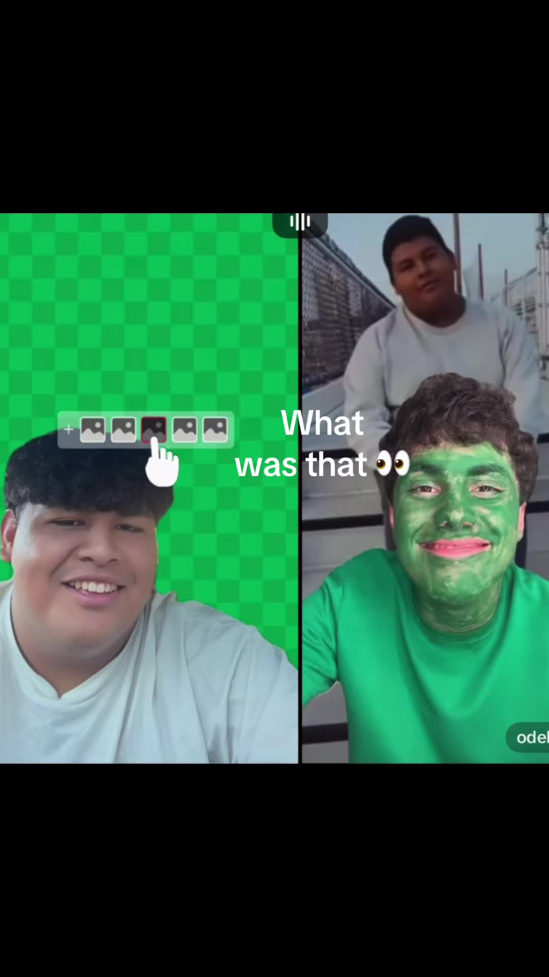@ornites