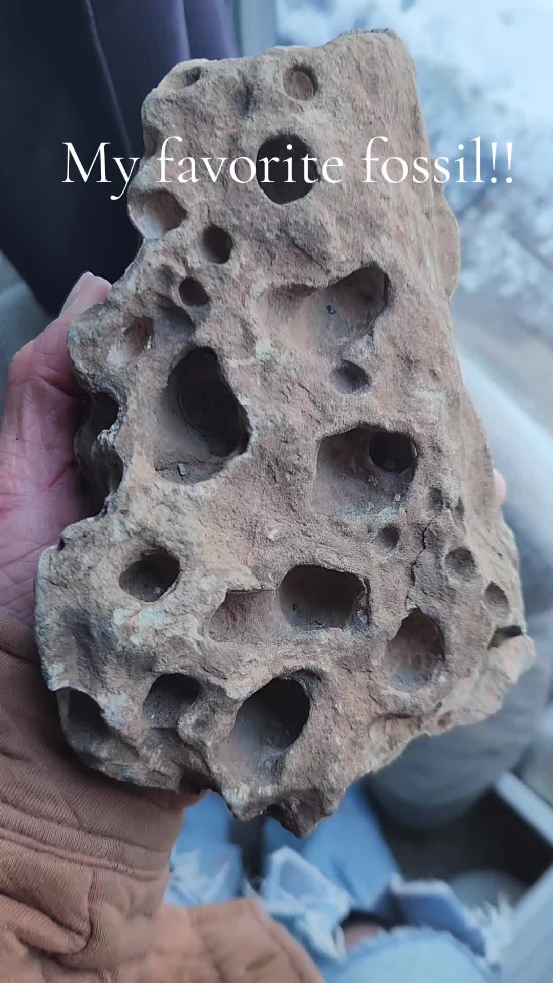 @EarthyFinds