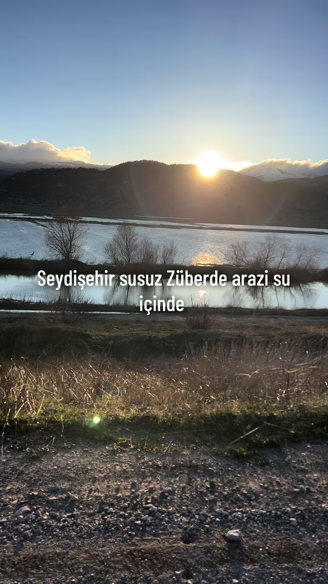 @Süleyman Ali Meleş