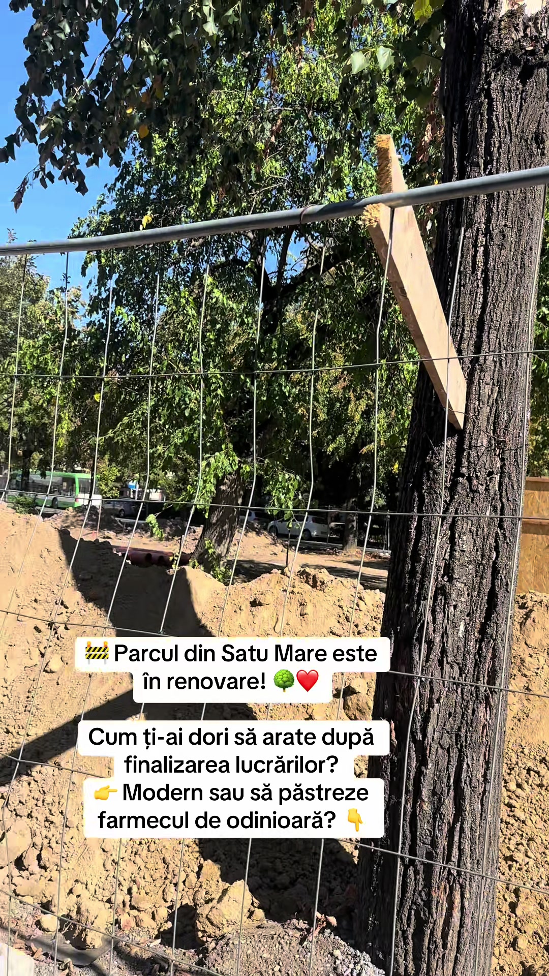 @Marian Lucuț.®️