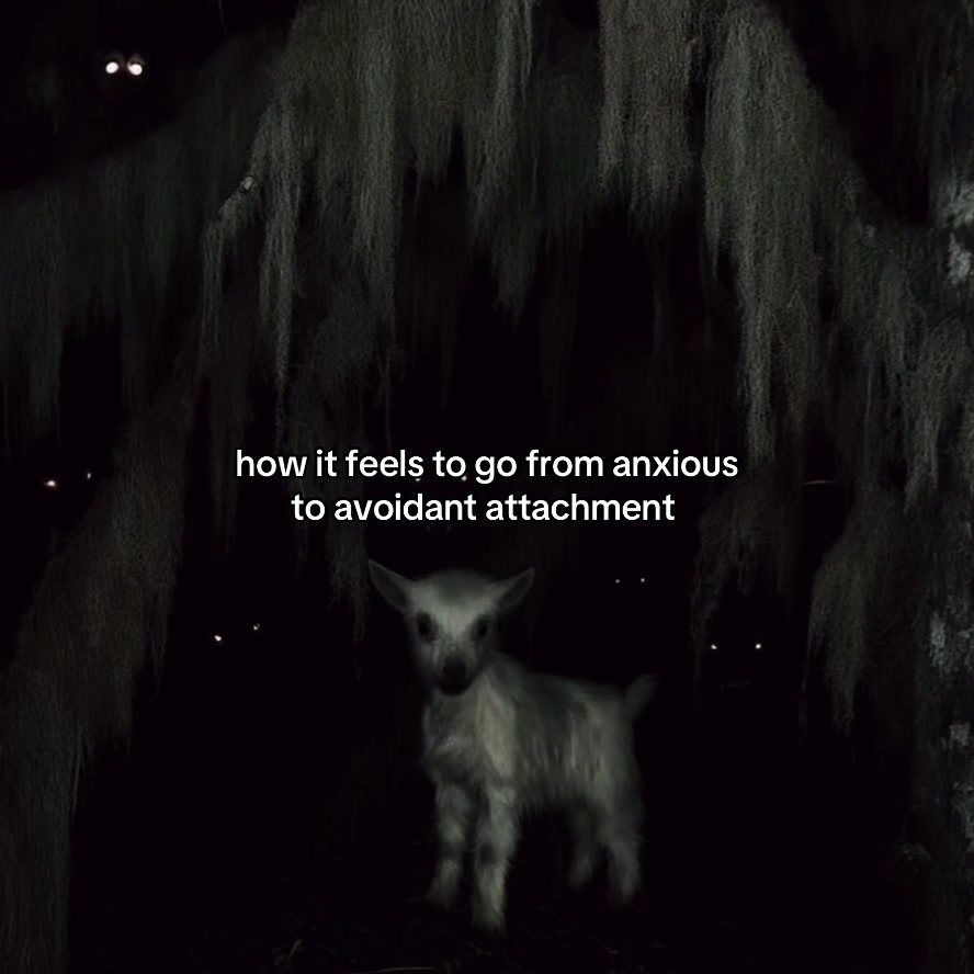 @astera ✰