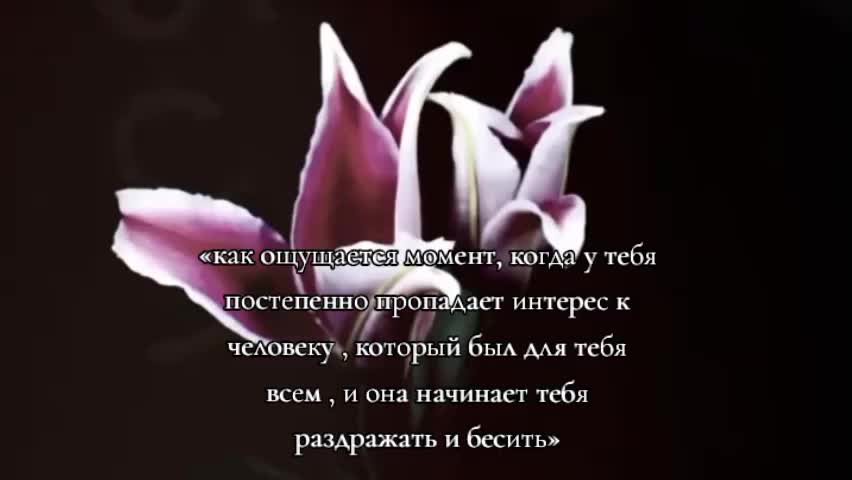 @𝑰'𝒎 𝒕𝒐𝒐 𝒓𝒖𝒅𝒆