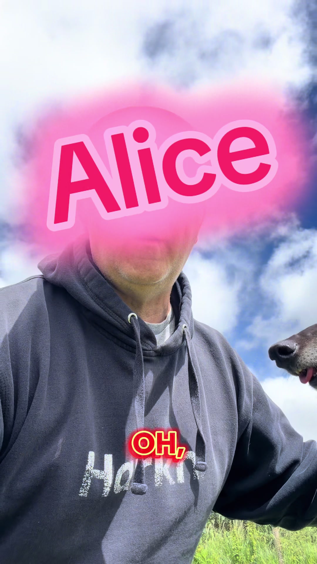 @BristolDAWG