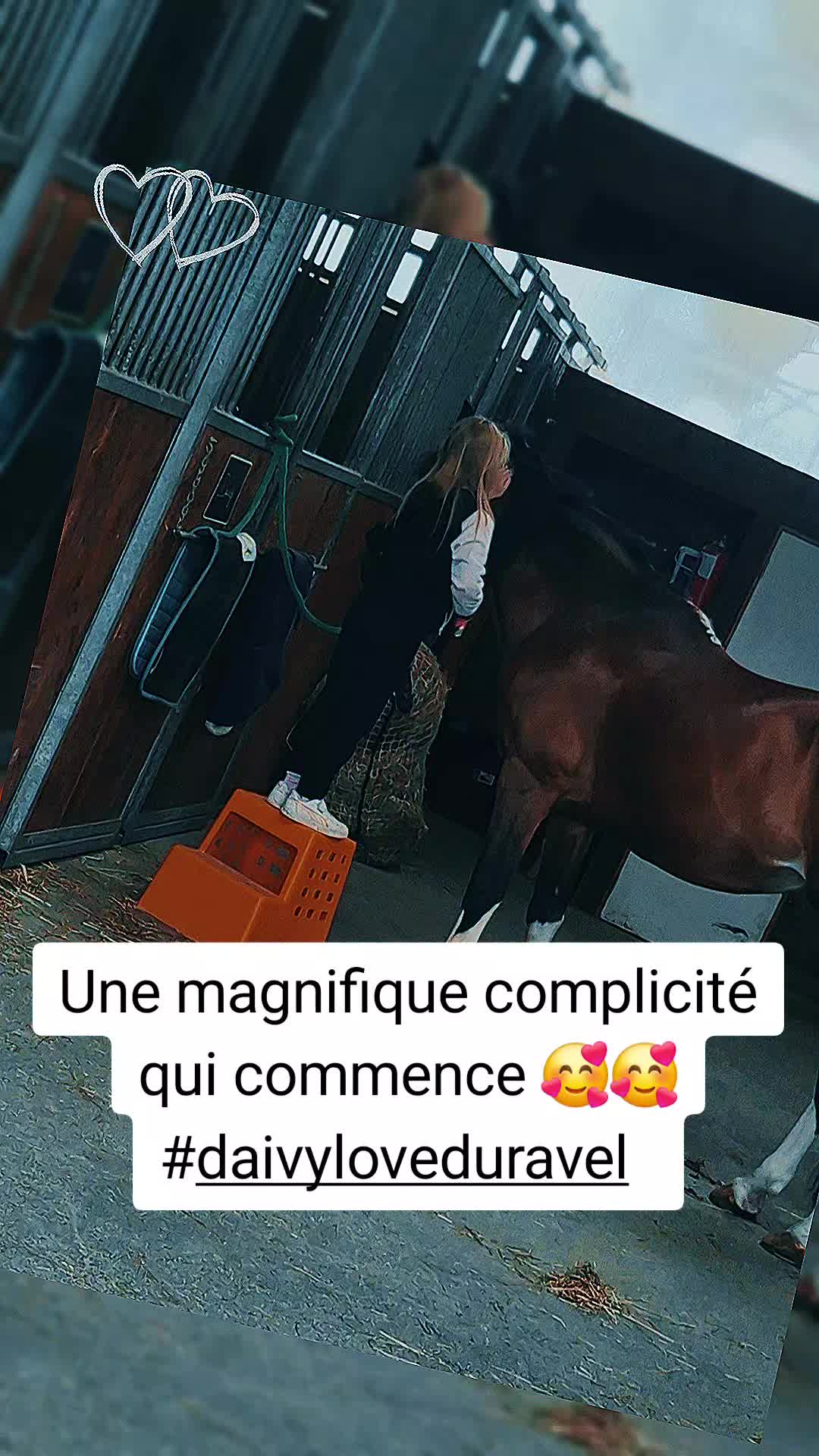 @laura dessomme