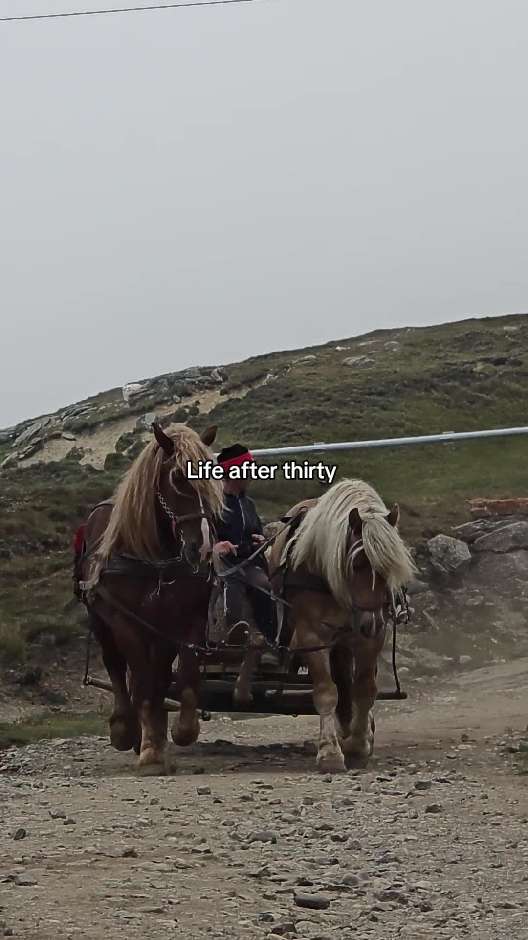 @Maybe