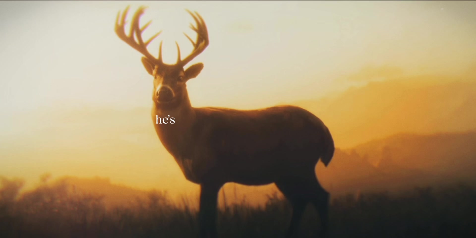 @eolhc