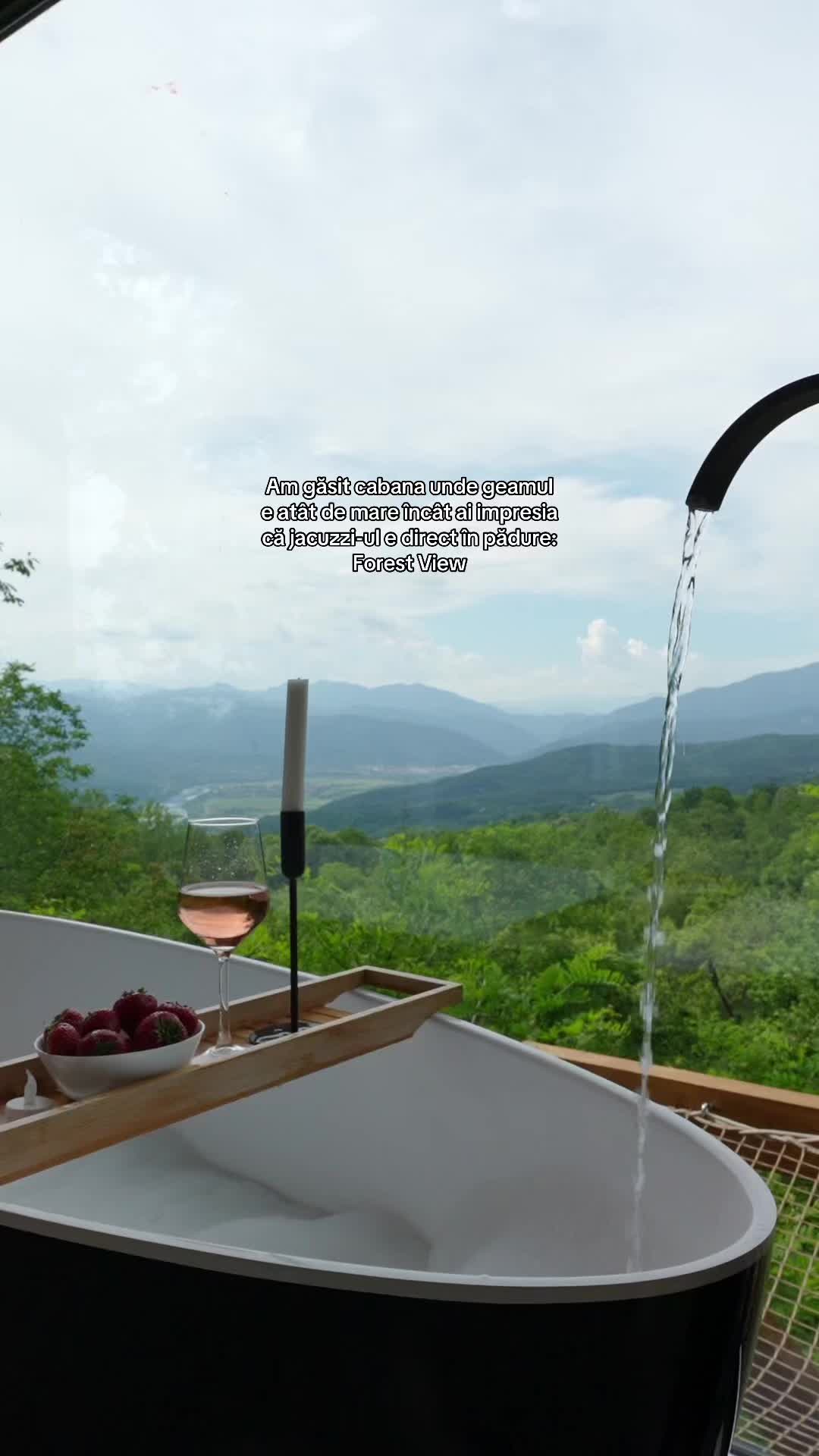 @Forest View Valcea