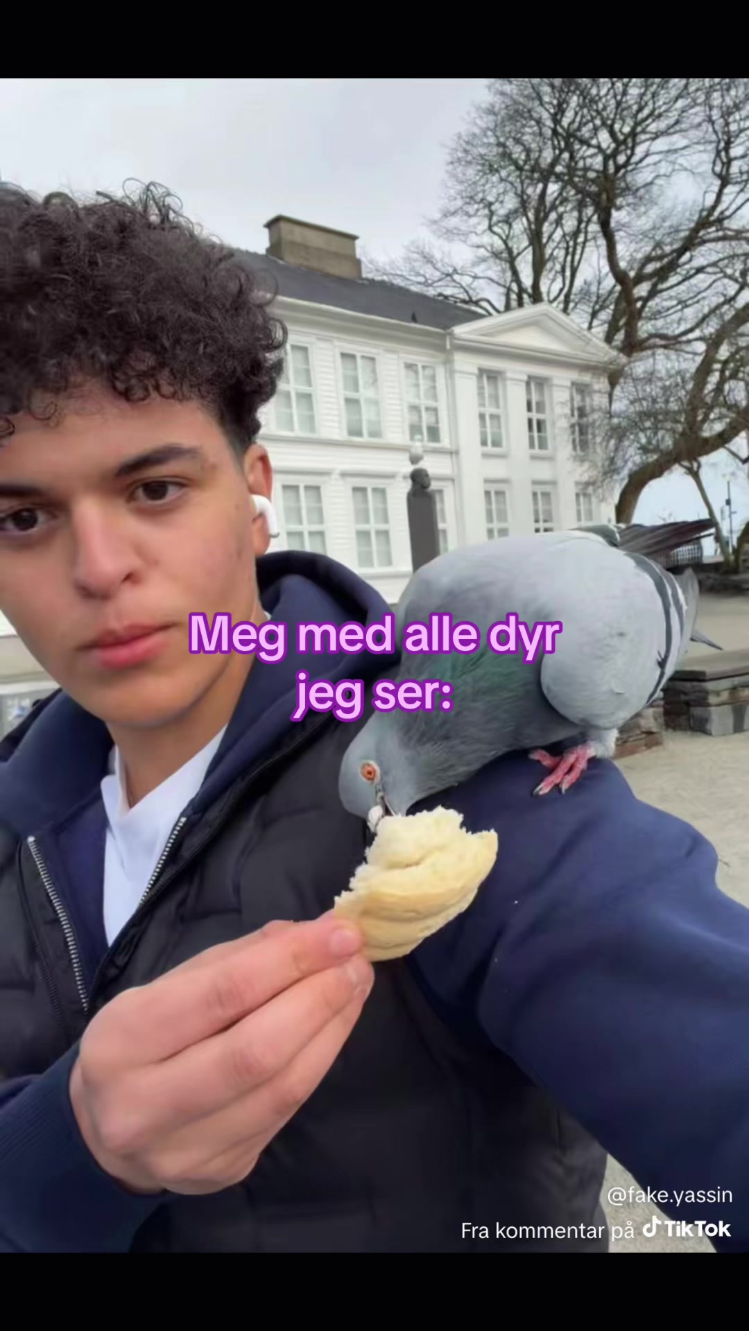 @tulleyassin