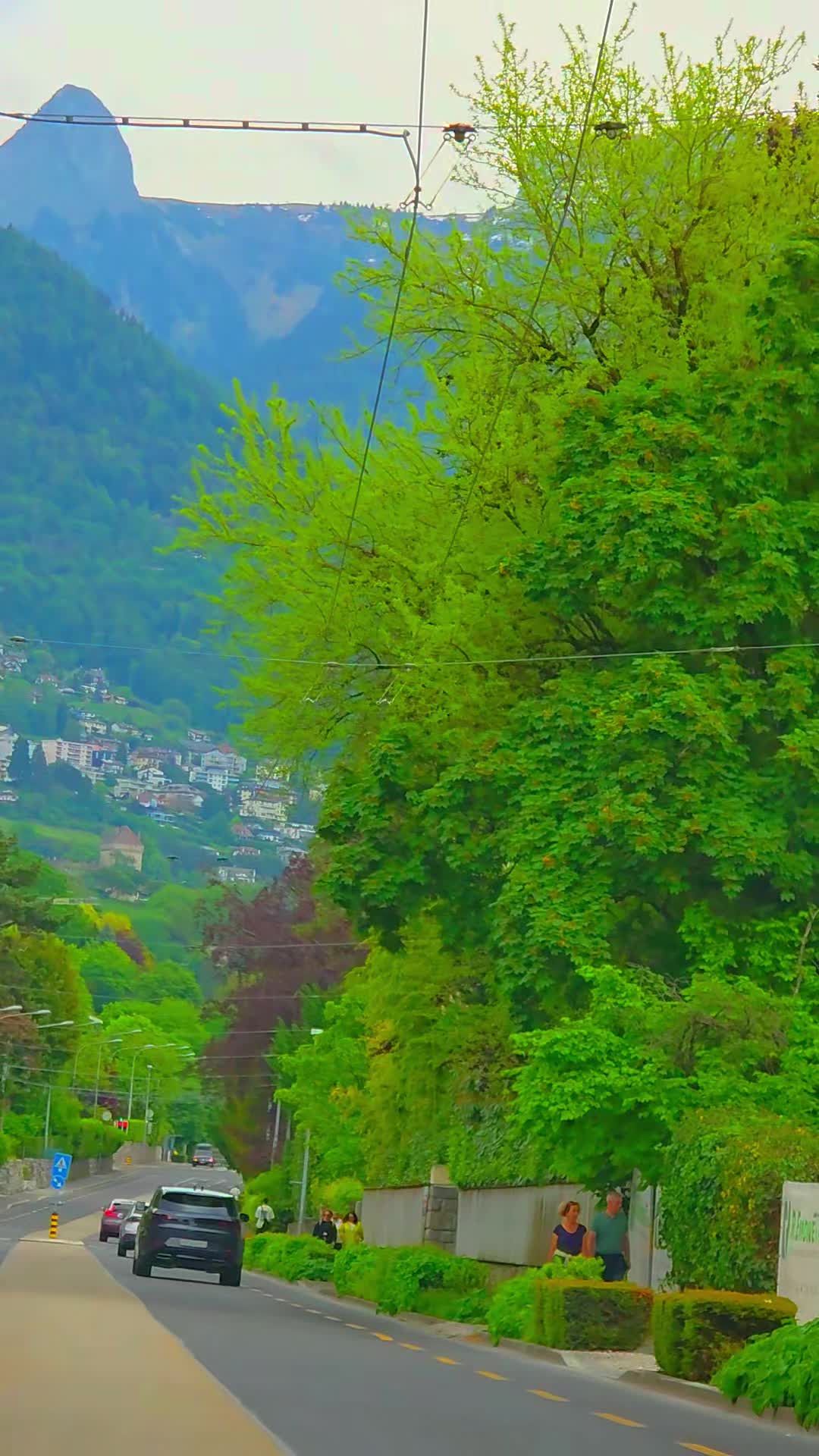 @🇨🇭flores Sérgio 🇵🇹