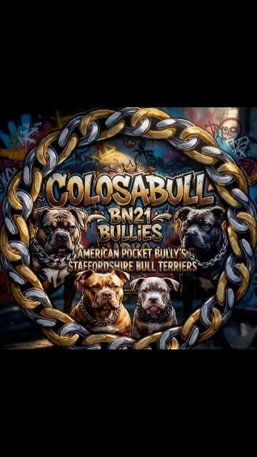 @Colosabull BN21 Bullies