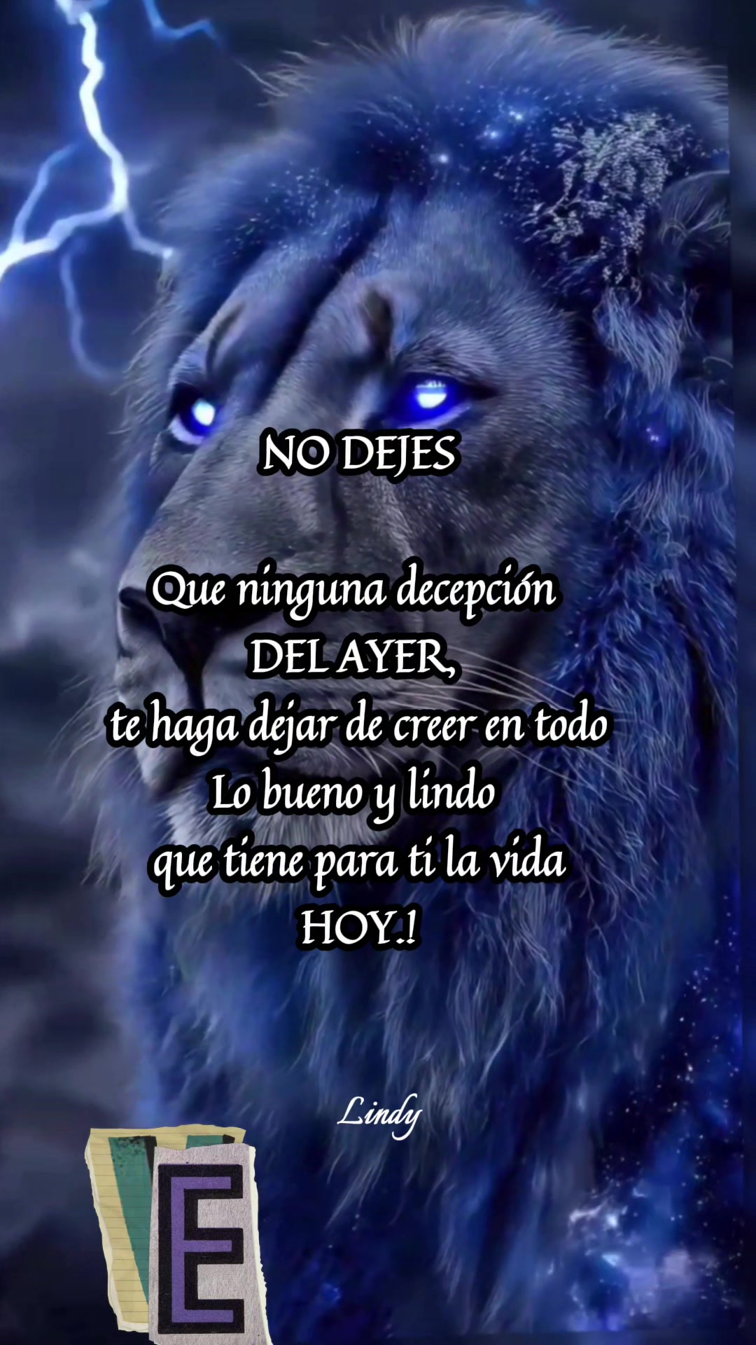 @Vera Vera
