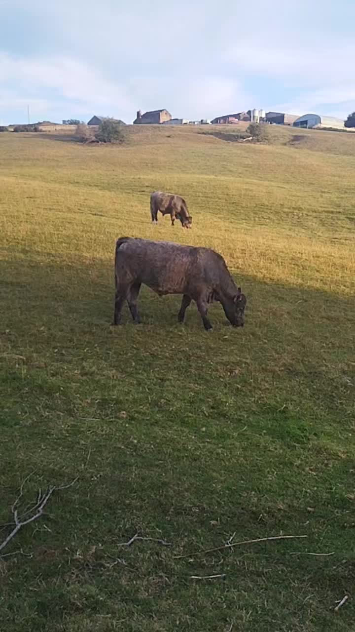 @Animal & Nature Lovers