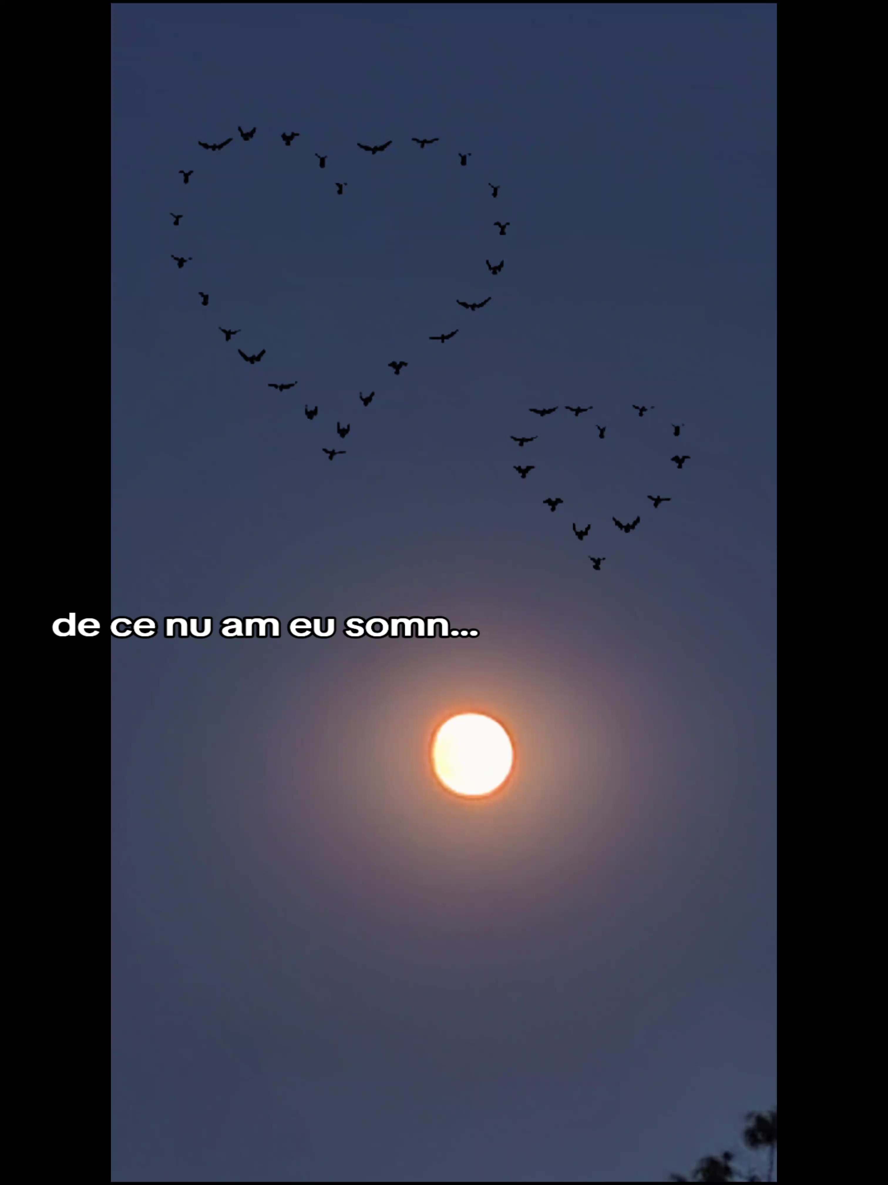 @Mihaela-Silvia