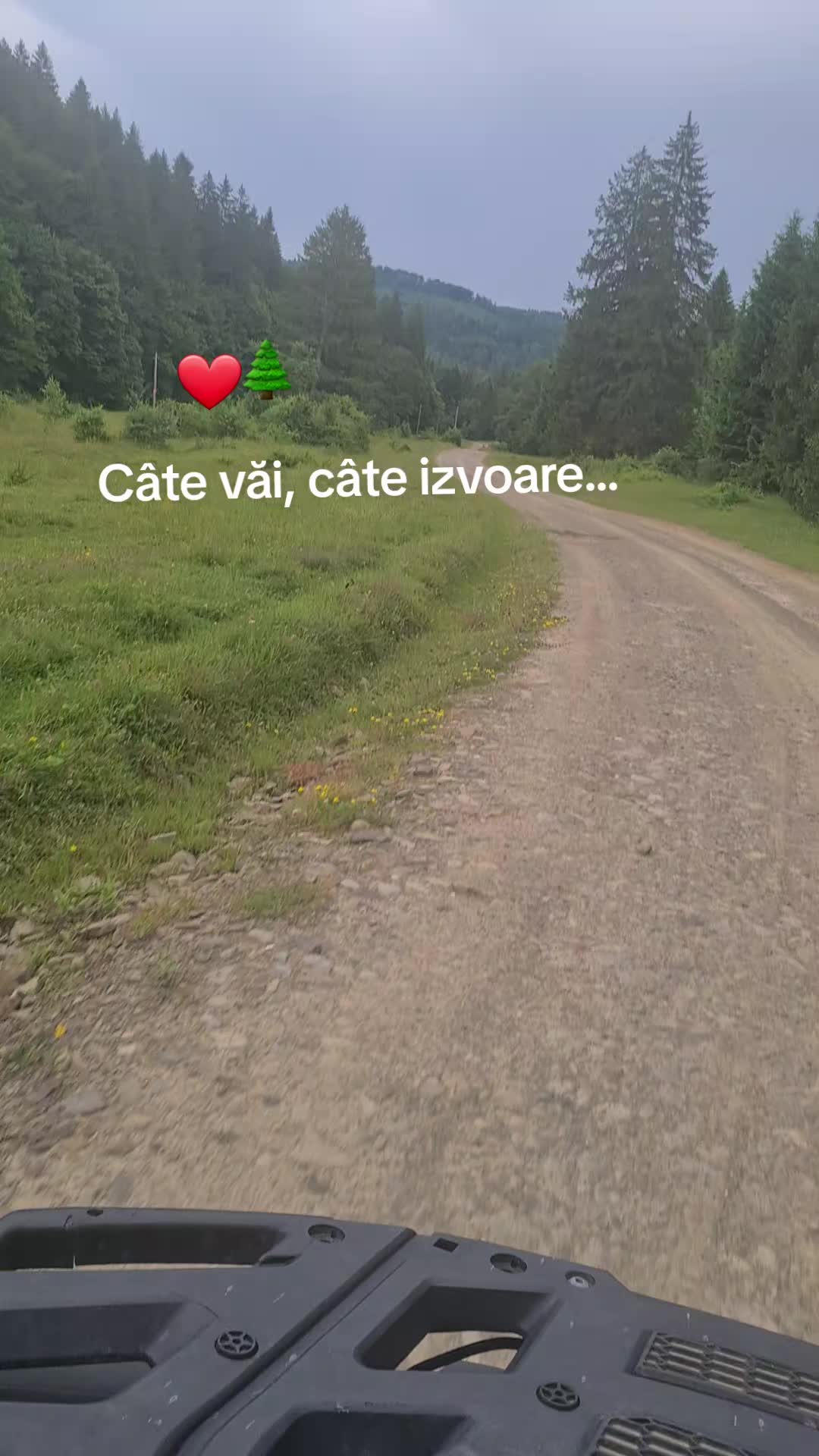 @Anda Maria