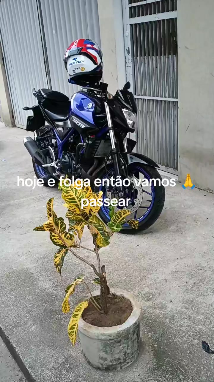 @Marcio Pego