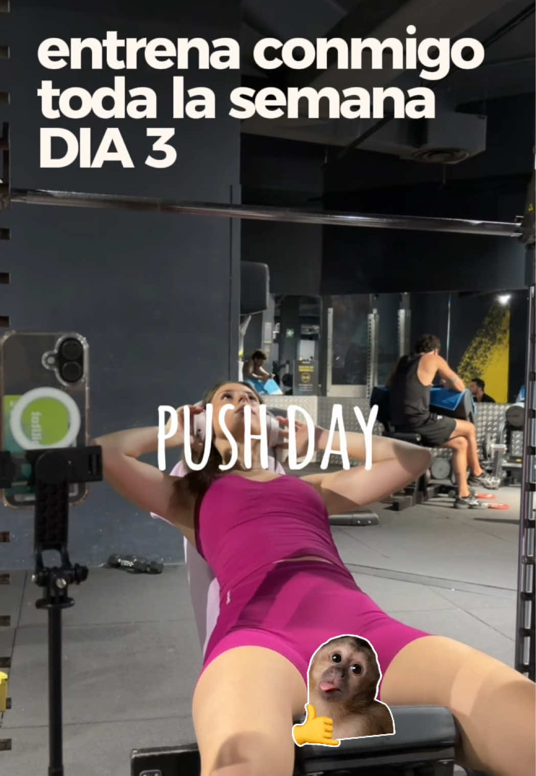 @sareta