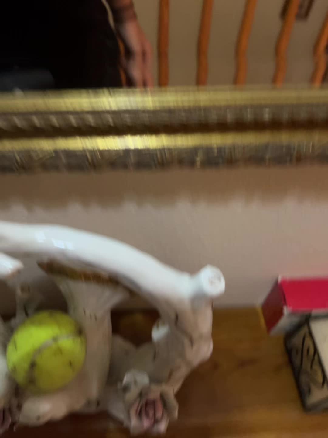 @𝖐𝖊𝖓𝖟𝖔