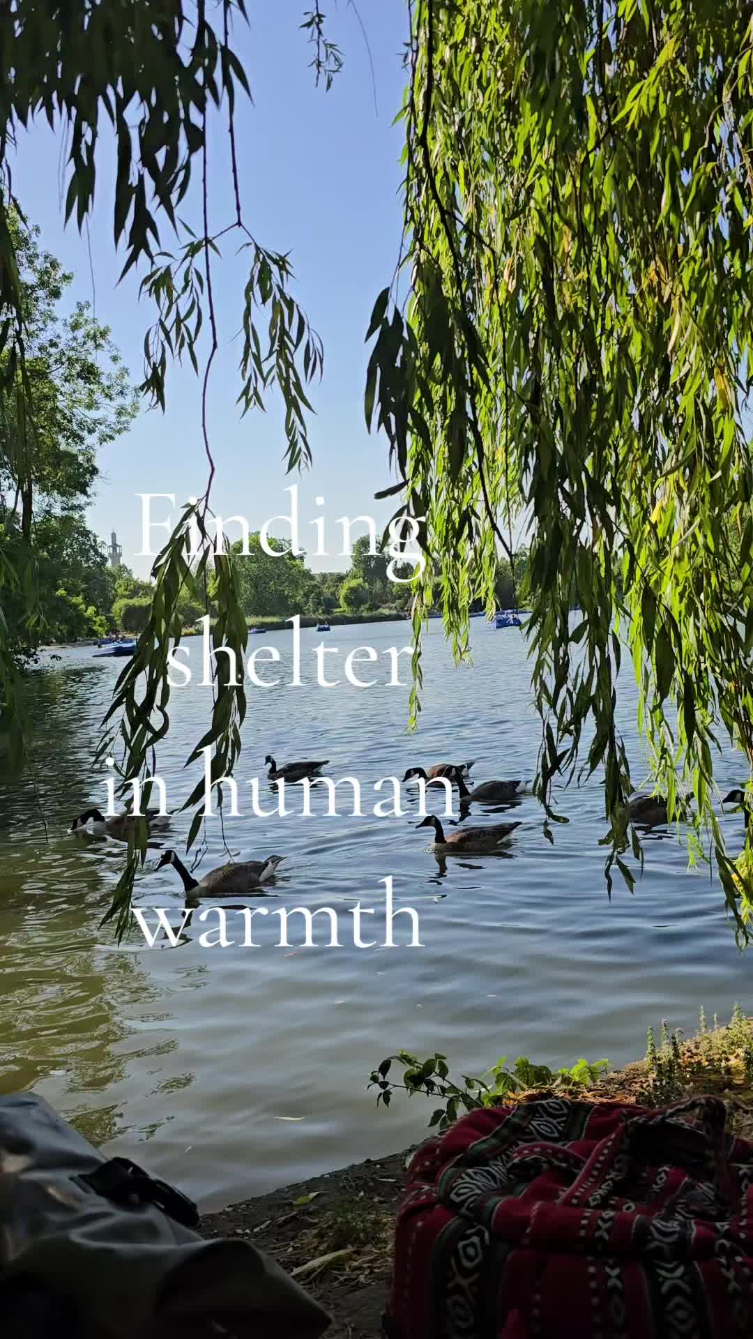 @๐โ๐๐๐๐๐