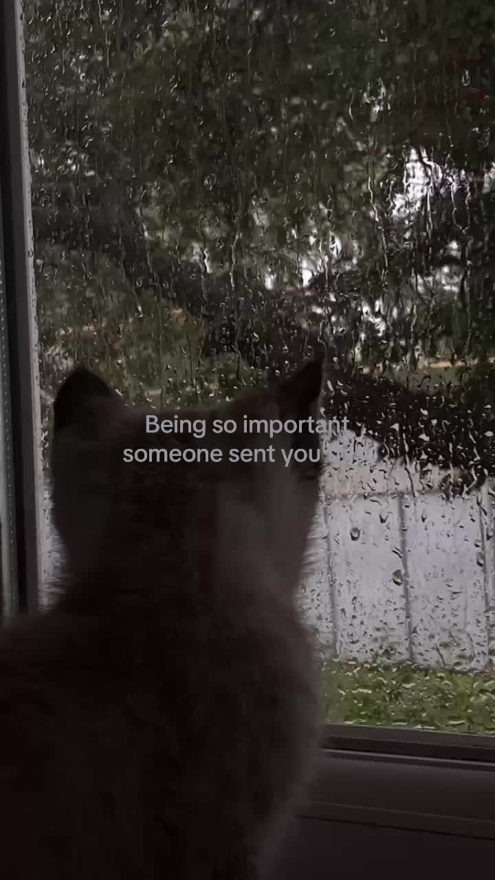 @мк_&part;&alpha;як
