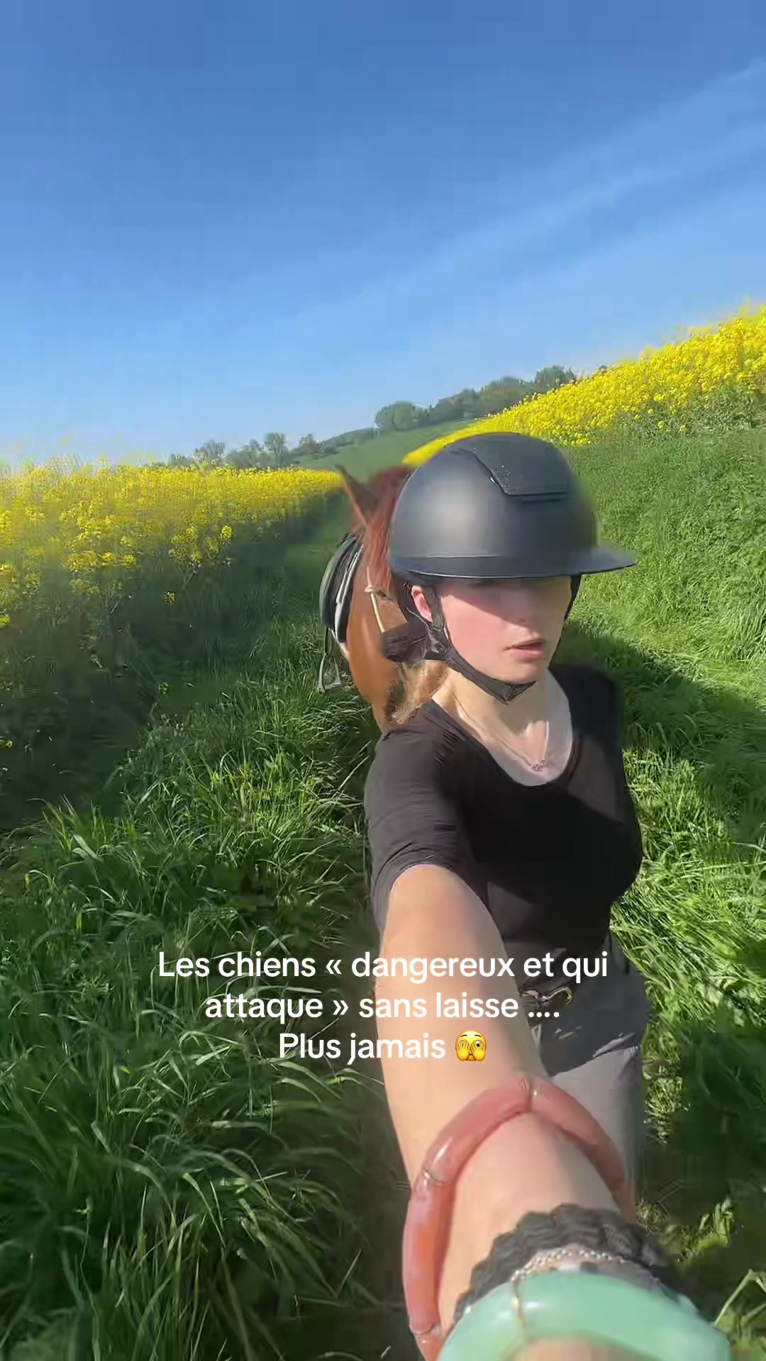 @havane.des.islots